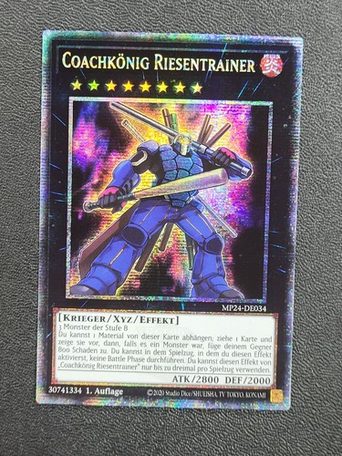 ⭐Coachkönig
